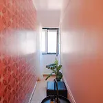 Local House 3*