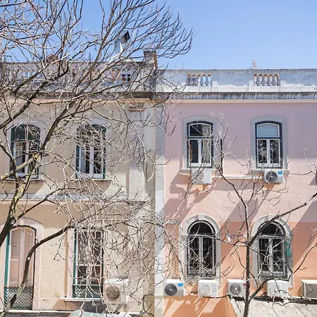 Local House Πανσιόν 3*